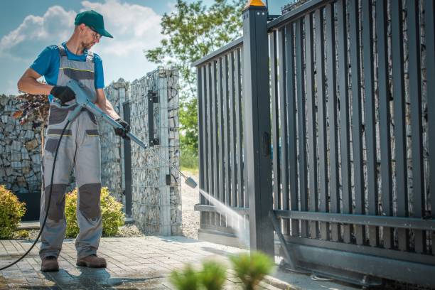Best Soft Washing  in Parkland, WA